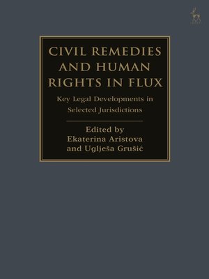 cover image of Civil Remedies and Human Rights in Flux